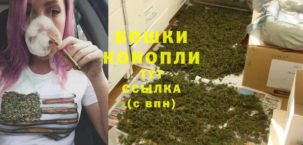 индика Кукмор