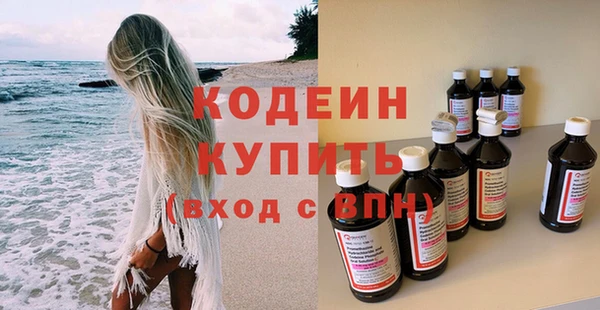 индика Кукмор