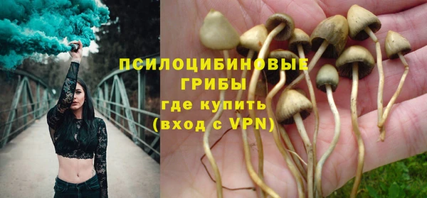 индика Кукмор