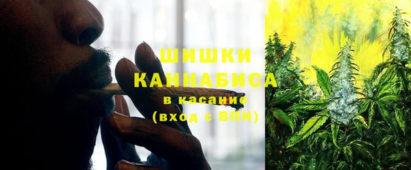 индика Кукмор