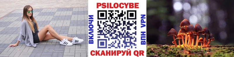 Галлюциногенные грибы мицелий  купить  цена  Никольское 